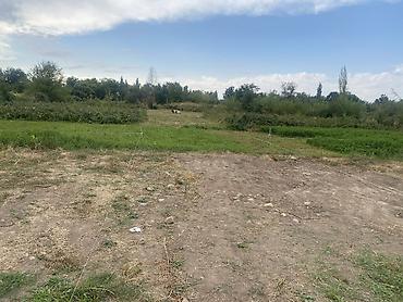 участок село луксенбург: 5 соток, Для строительства, Красная книга — 7