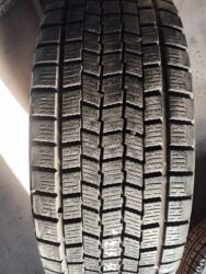 купить докатку r17: Шиналар 215 / 55 / R 17, Кыш, Колдонулган, 1 даана, Жеңил унаалар, Жапония