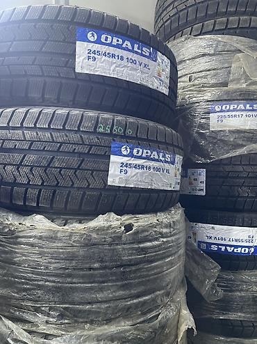 Шины 245 / 45 / R 18, Зима, Новый, Комплект, Легковые, Китай, Opals