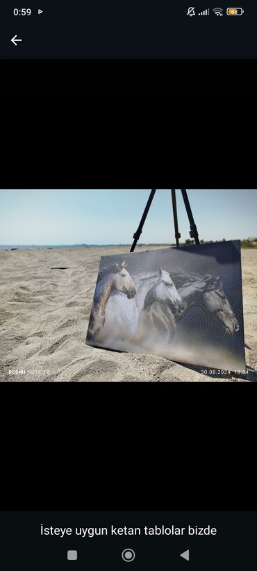 Şəkillər, tablolar: İstəyə uyğun kətan tablolar - Material: keyfiyyətli kətan (canvas) — 2