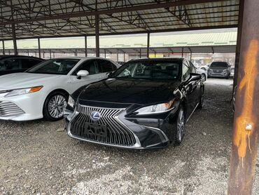 автомобиль победа: Lexus ES: 2019 г., 2.5 л, Автомат, Гибрид, Седан