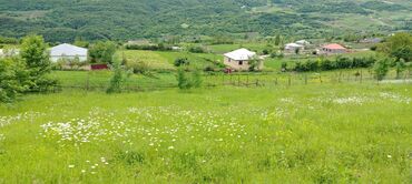 20 соток, Возможен обмен, Купчая