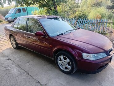 домик на колосах: Honda Accord: 1991 г., 2 л, Механика, Бензин, Седан