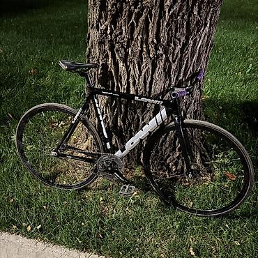 стреппы: LOWII с карбо вилкой 🚴 Лкп:8,5/10 По компонентам: Руль: Urchin track — 5