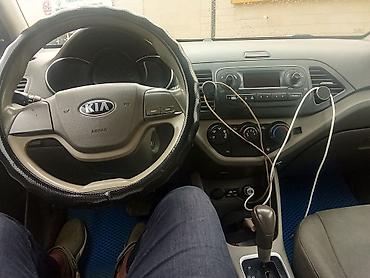 куном: Kia Picanto: 2016 г., Автомат, Хэтчбэк — 3