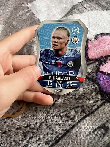 İncəsənət və kolleksiyalar: Panini “Top Class” futbol kolleksiya kartları dəsti Məzmun: - Panini — 7