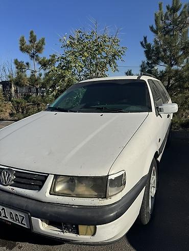santa crus: Volkswagen Passat: 1994 г., 1.8 л, Механика, Бензин, Универсал — 1