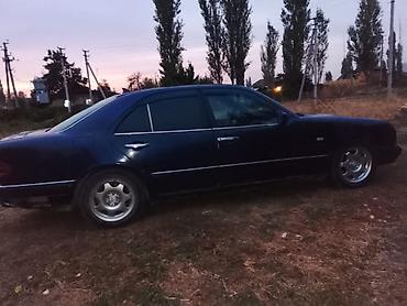 кроссовер ауди: Mercedes-Benz : 1996 г., 3.2 л, Механика, Газ, Седан — 1