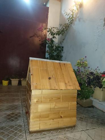 vəhşi itlər: Pişik üçün əl işi yuva satılır 30 azn endirim olar isteyen olsa elage — 2
