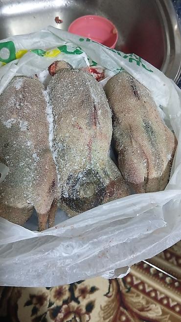 Camış: Məhsul: Su camışı sürüsü boğaz çatmışlar. 9 heyvan 6 ana camis . 3 — 18