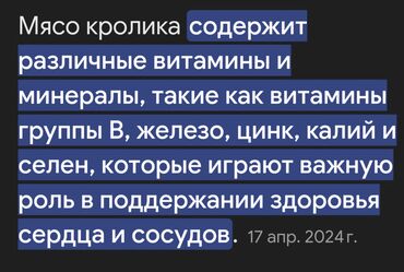 в связи с переездом отдам попугая жако в добрые руки: Продаю кралов крольчих французский баран фландр шиншила молодые на