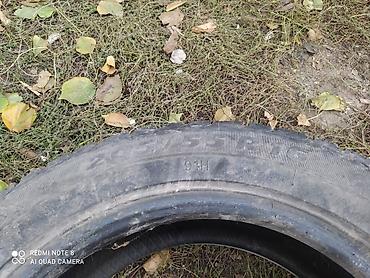 215 55 16: Зимняя шина 205/55 R16 91H - Тип: зимняя (ненашипованная, отверстия — 2