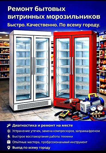 ml 163: Ремонт бытовых и домашних, витринных холодилников и морозильников — 1
