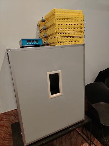 Yumurta inkubatoru və çıxım şkafı sistemi təqdim olunur. Quşçuluq