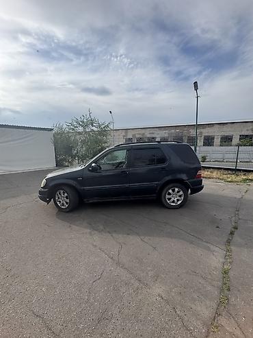 w163: Mercedes-Benz ML-Class: 2002 г., 2.7 л, Автомат, Дизель, Кроссовер — 9