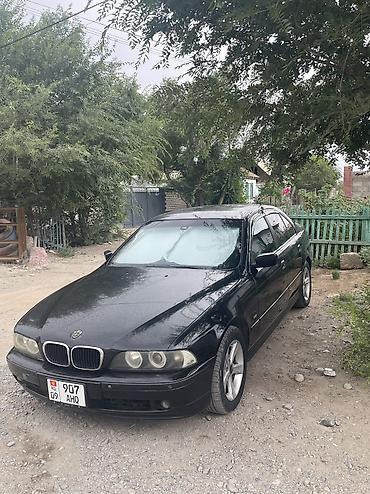 i vtec: BMW 525: 2001 г., 2.5 л, Автомат, Бензин, Седан — 1