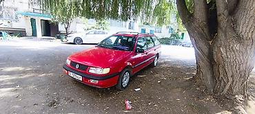 пасат б5 уневерсал: Volkswagen Passat Variant: 1995 г., Механика, Бензин, Универсал — 8