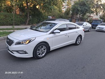купить чехол для авто в бишкеке: Hyundai Sonata: 2019 г., 2 л, Типтроник, Газ, Седан