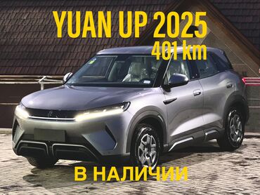 BYD: BYD : 2024 г., 10 л, Автомат, Электромобиль, Хэтчбэк