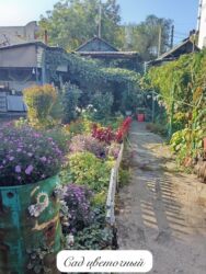 Продажа участков: 4 соток, Для строительства, Красная книга, Тех паспорт — 11