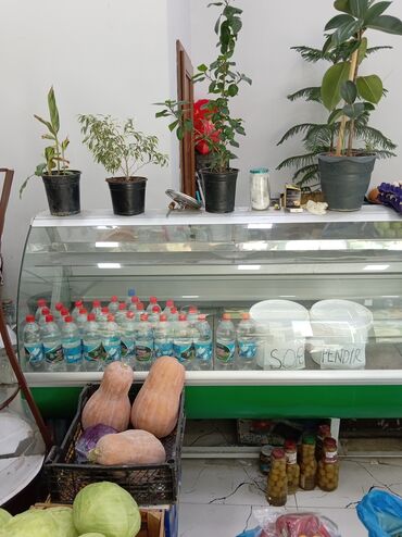 sumqayitda soyuducu: Soyuduculu vitrin – mağaza/kafeteriya üçün - Ön və üst hissəsi