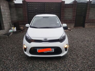 спрей скорая помощь: Kia Morning: 2019 г., 1 л, Автомат, Бензин, Универсал