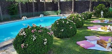 Посуточная аренда домов: Эксклюзив. VIP residence. Аренда особняка. Аренда дома. Длительно — 23