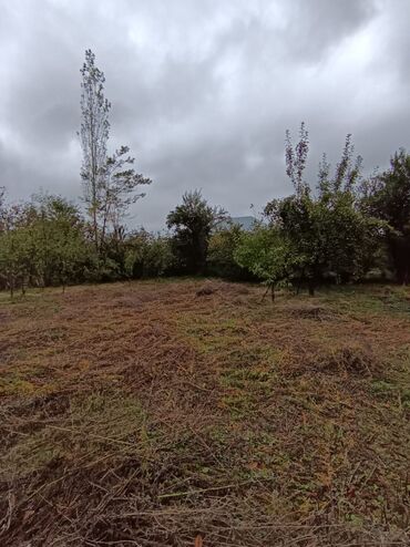 Bağ evlərinin satışı: Alekseevka, 30 kv. m, 15 otaq, Su — 13