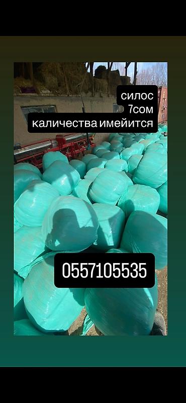 поставщики корма для животных оптом: Силос сатылат баасы 7 сом Ыссык кол Ак суу Туп силос в — 1