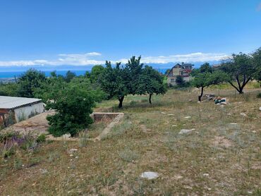 Продажа участков: 6 соток, Для сельского хозяйства, Красная книга — 6