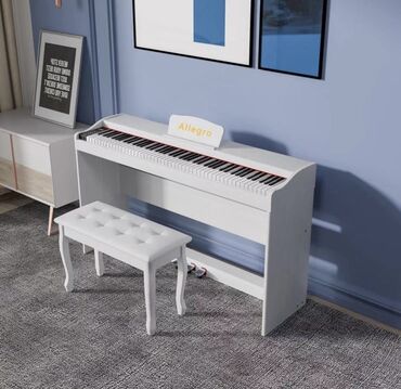 elektronik piano: Пианино, Цифровой, Новый, Бесплатная доставка