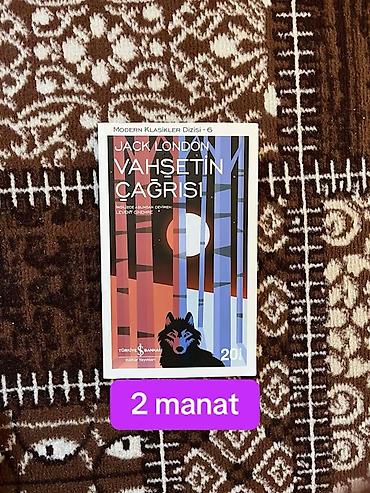 Bədii ədəbiyyat: Metrolara çatdırılma edirəm — 5