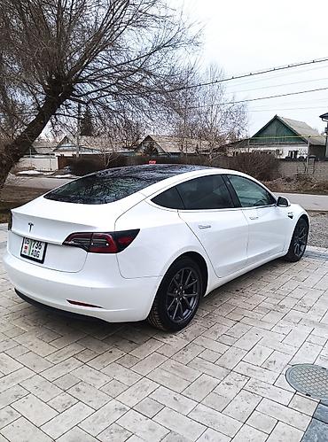 Tesla: Tesla Model 3: 2020 г., Электромобиль, Седан — 5