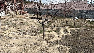 Həyət evi alıram: 103 kv. m, 2 otaqlı — 35