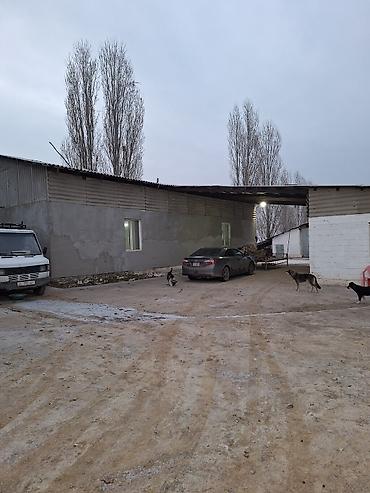 Продажа сельхоз предприятий: Продам большую ферму,расположеную в Сокулукском районе,возле — 4