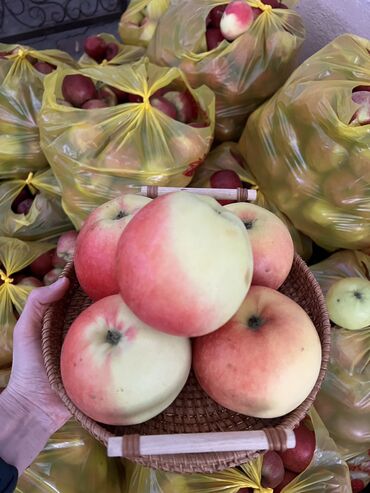 Яблоки: Яблоки Оптом — 5