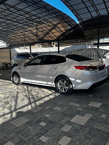 Kia: Kia K5: 2016 г., 2 л, Автомат, Газ, Седан — 2