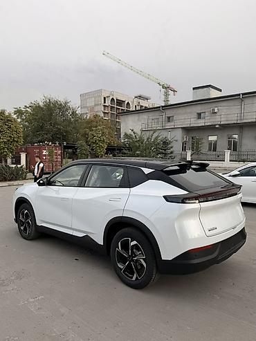 задний стоп миленум: Dongfeng : 2026 г. — 5
