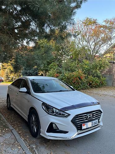 stud 100: Hyundai Sonata: 2018 г., 2 л, Автомат, Газ, Седан — 2