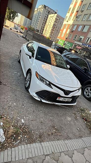 neta u pro машина: Toyota Camry: 2019 г., 2.5 л, Автомат, Бензин, Седан — 2