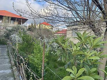Ağaclar: Salam.kupcalidir.Qiymet 1 sota aiddir! 4.5 sot merkezi yoldan 2 — 3