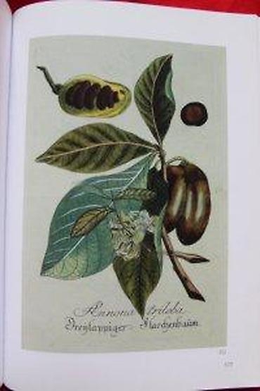 Knjige: DOROTHEUM, BUCHER UND DEKORATIVE GRAPHIK, 2004 | Aukcioni katalog — 12