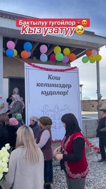 Организация мероприятий: Организация мероприятий | Певцы