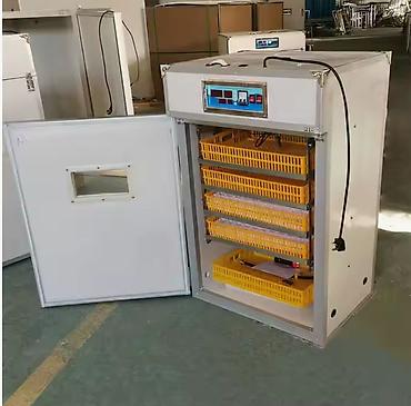 Товары и оборудование для с/х животных: Инкубатор Промышленный 352 жумуртка полынй автомат . Инкубатор 1056 — 2
