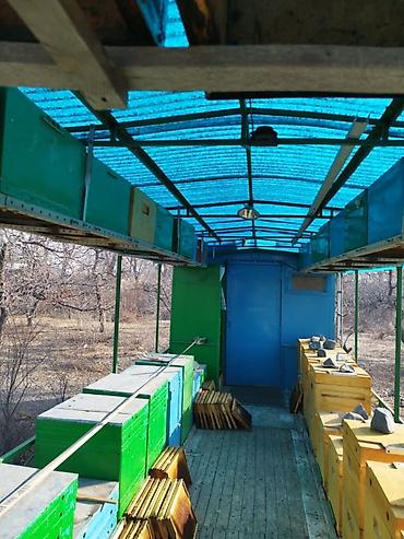 Другая сельхозтехника: Передвижная платформа на 38 ульев, 12-ти рамочных, дадан, тракторный — 7