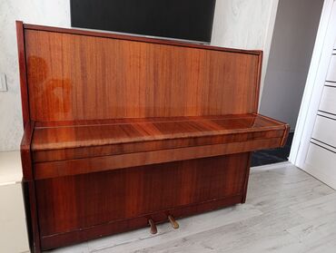 Pianolar: Piano, Belarus, Akustik
