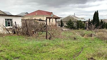 qaraçuxurda evler: 16 sot, Tikinti, Mülkiyyətçi, Kupça (Çıxarış) — 10