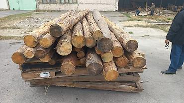 хонча новруз: Taxta dirəklər və şalban dəstəsi - Material: iynəyarpaqlı ağac (şam — 1