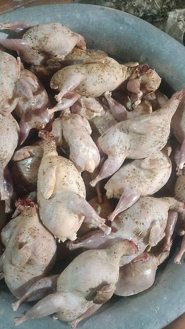 для мяса: Домашняя птица, режим на заказ, по предварительному заказу, халал — 6