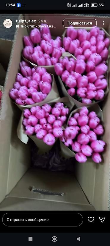 Букеты из живых цветов: Тюльпаны срезанные в наличии в ограниченном количестве -В продаже есть — 8